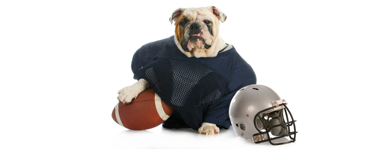The Texas Bulldog is Rooting for Designated Drivers this Sunday!