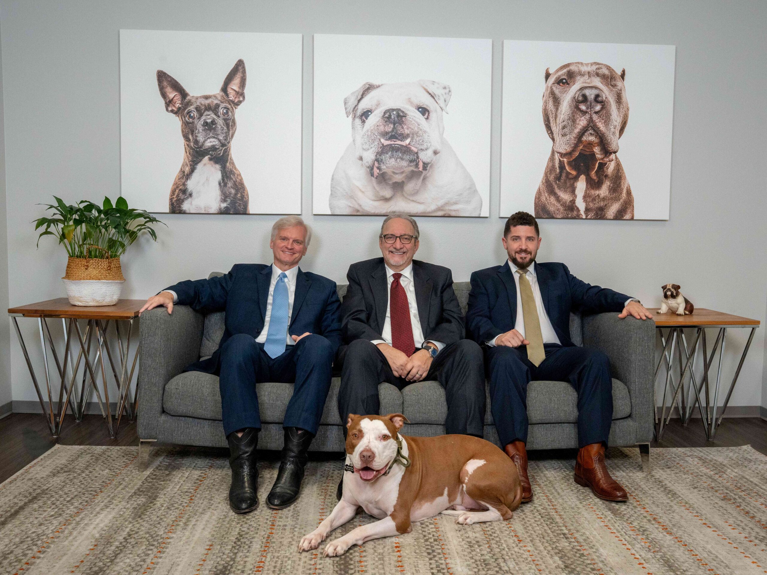 Houston personal injury attorneys Adam H. Miller, Daniel Weisfeld, and Drew Shirley with McLovin at The Miller Law Firm office.