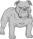 The Texas Bulldog